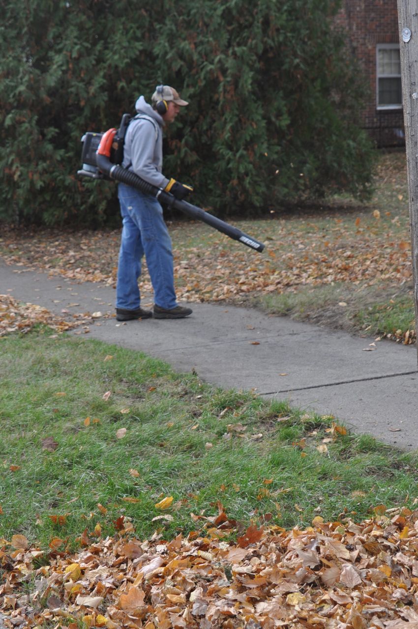 fall_leaf_clean_up_blowing_services_minneapolis.jpg