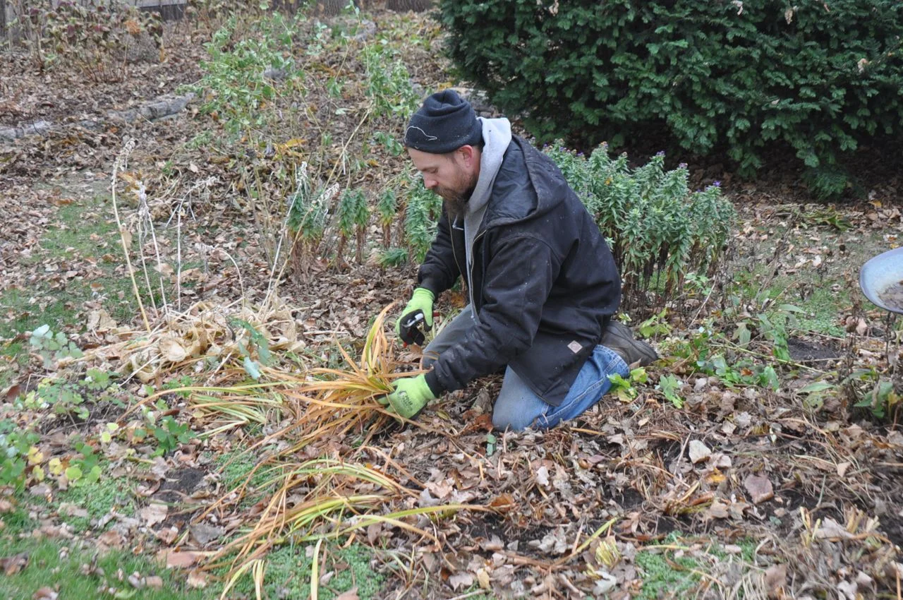 fall_perennial_cut_backs_garden_clean_up.jpg