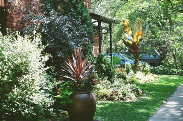 lawn-care-service-twin-cities-organic.jpg