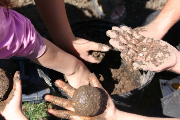 seed_planting_minnesota_0.jpg