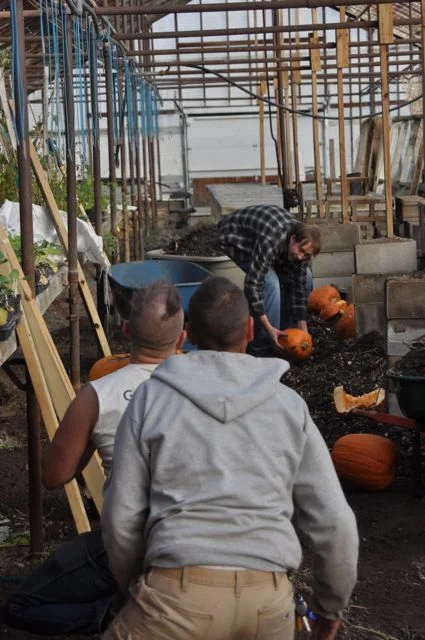 composting_urban_farm.jpg