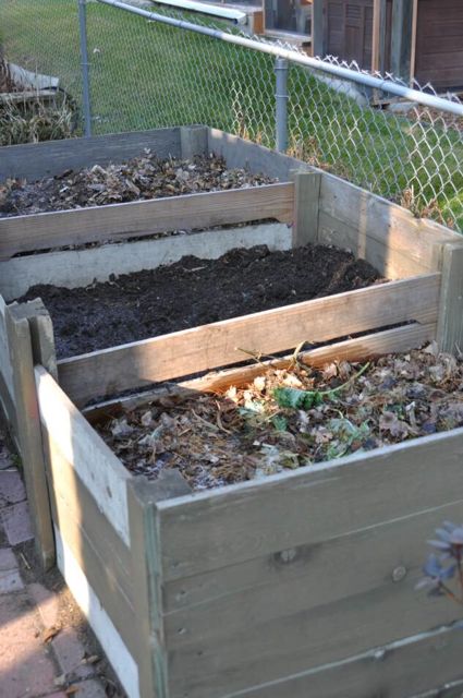 backyard_compost_system.jpg