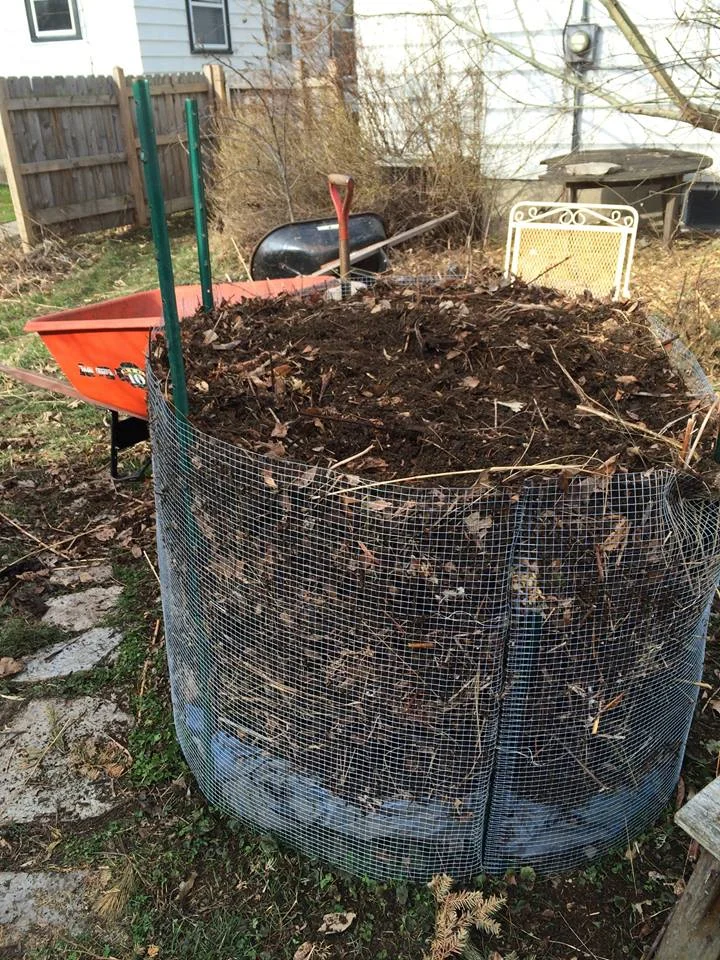 Compost1.jpg
