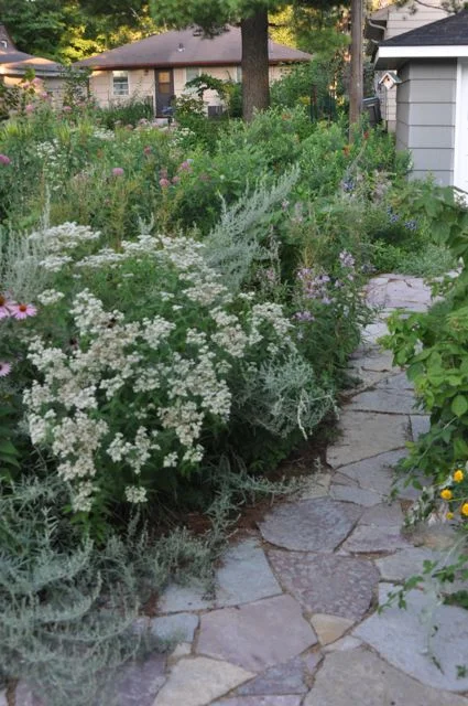 butterfly_gardening_installations.jpg