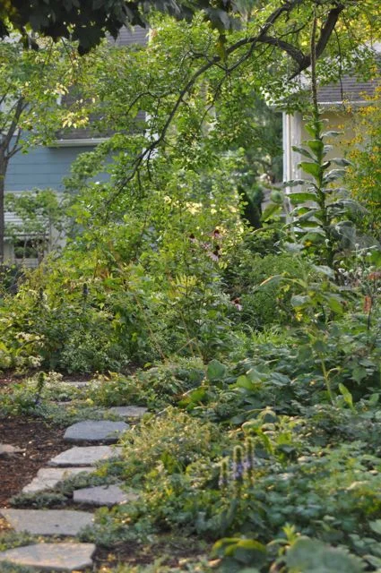 natural_stone_path_installation.jpg