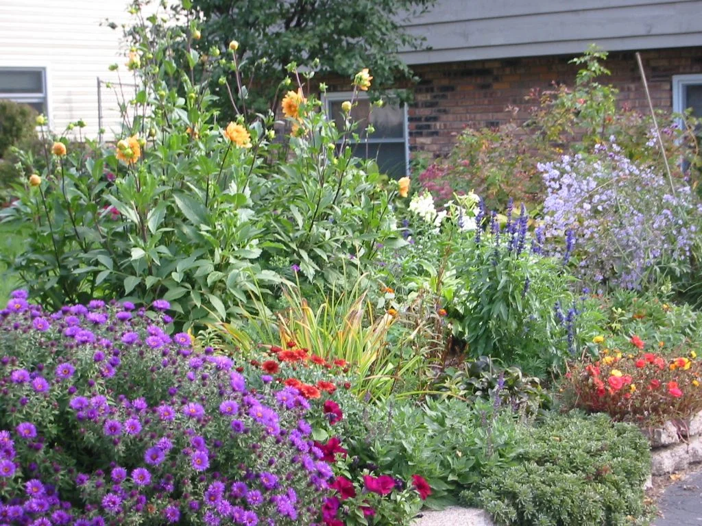 organic_flower_gardens.jpg