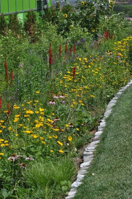 rain_garden_minneapolis.jpg
