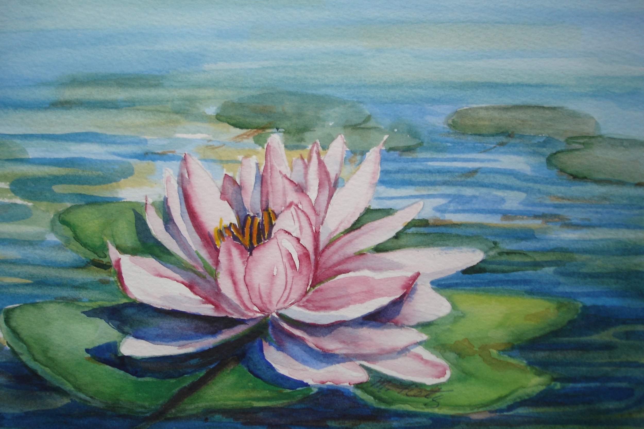 One Water Lily