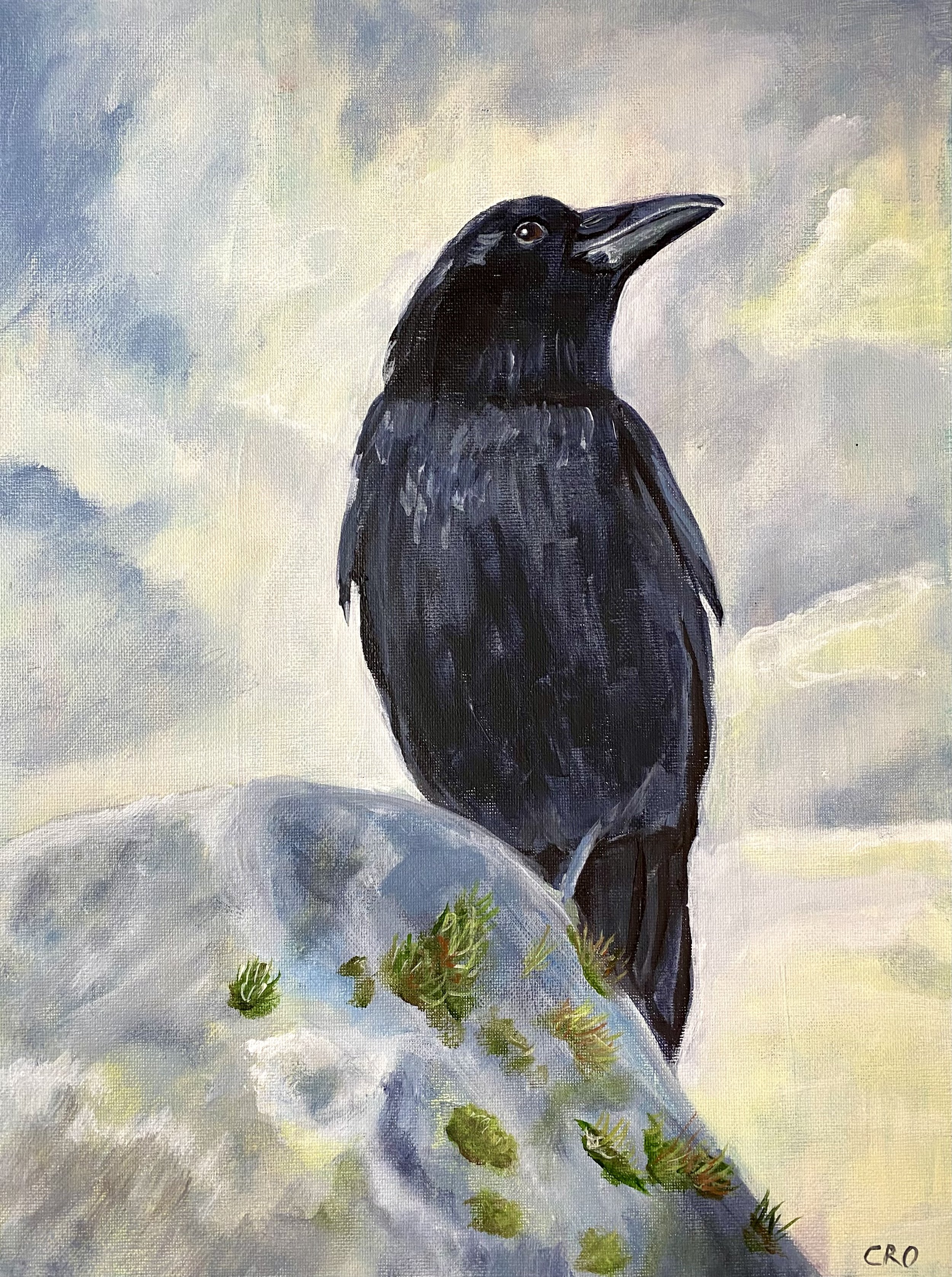 Crow on Rock