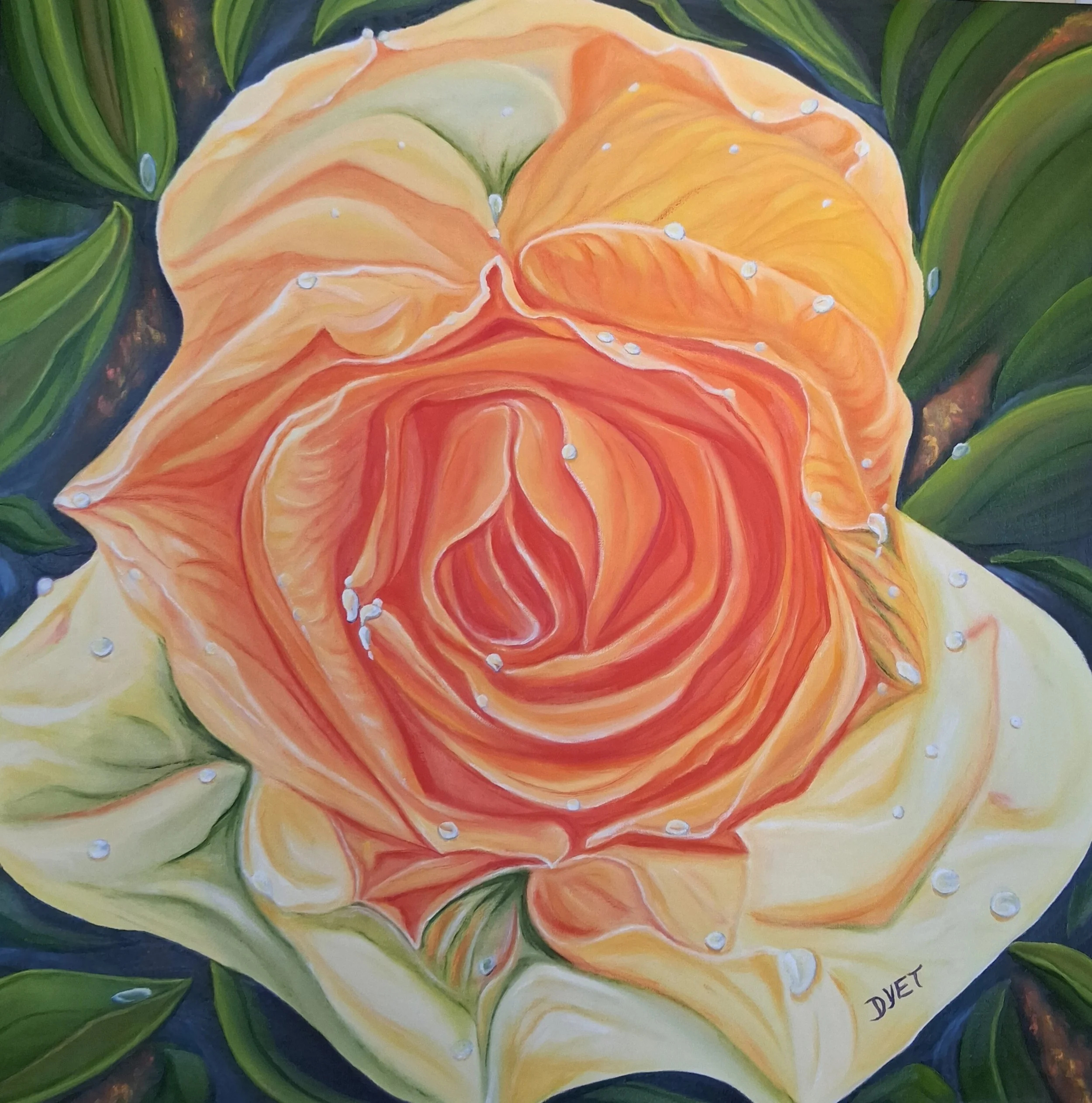 Raindrops on Yellow Rose