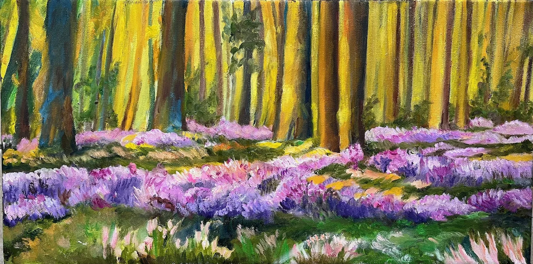 Sunny Forest and Spring Heath
