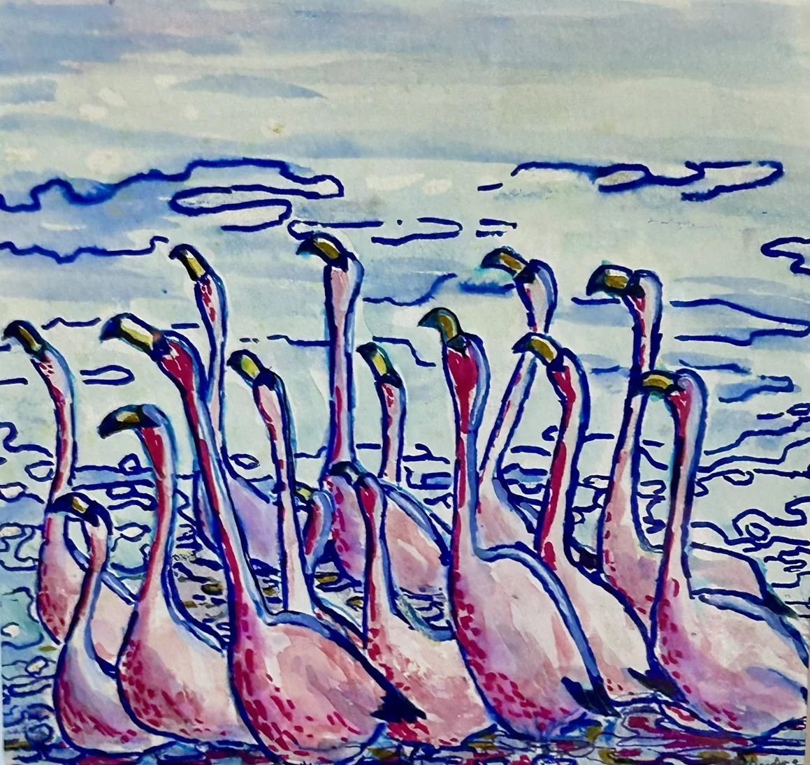 Flamingos