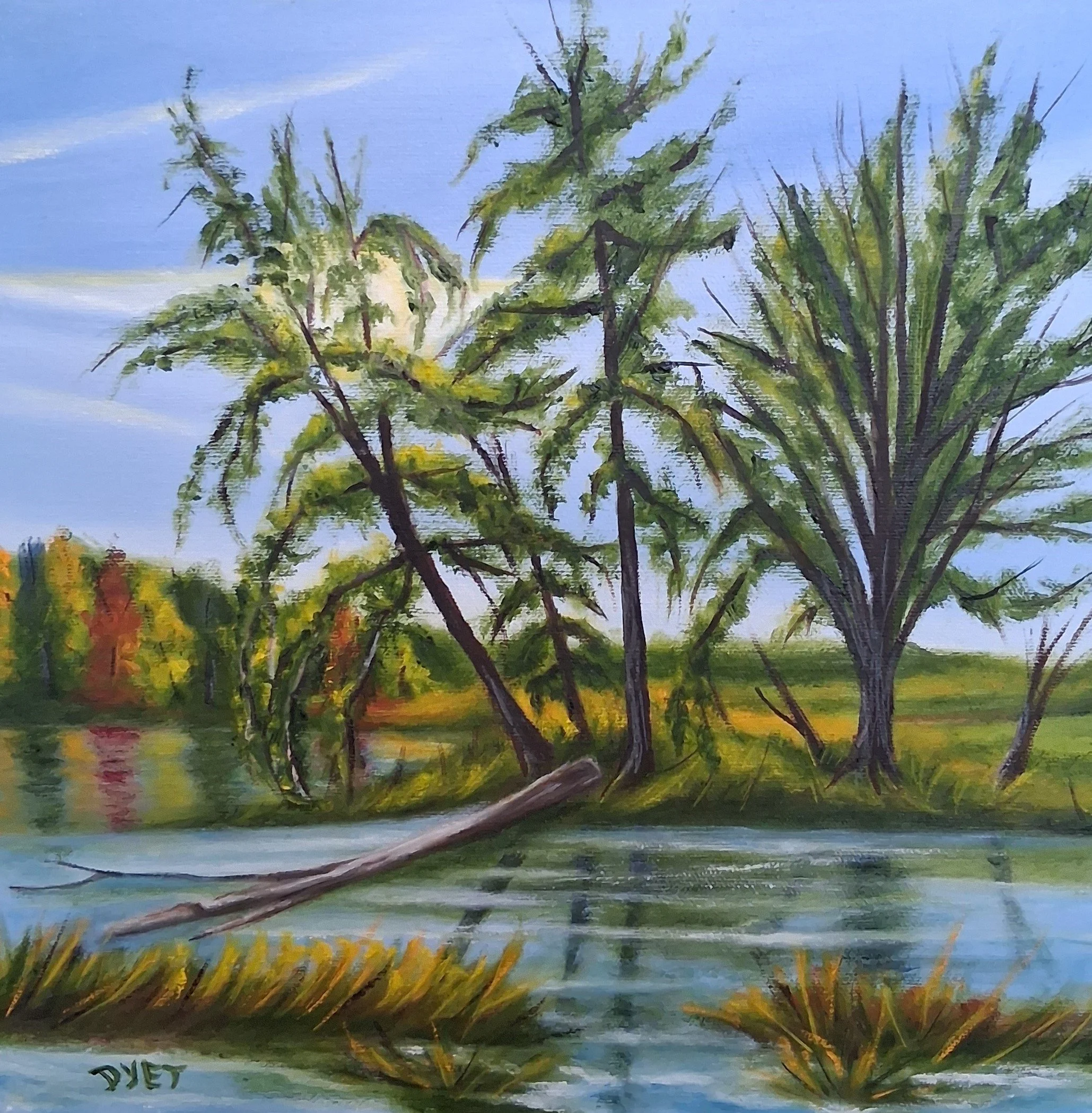 Petrie Park