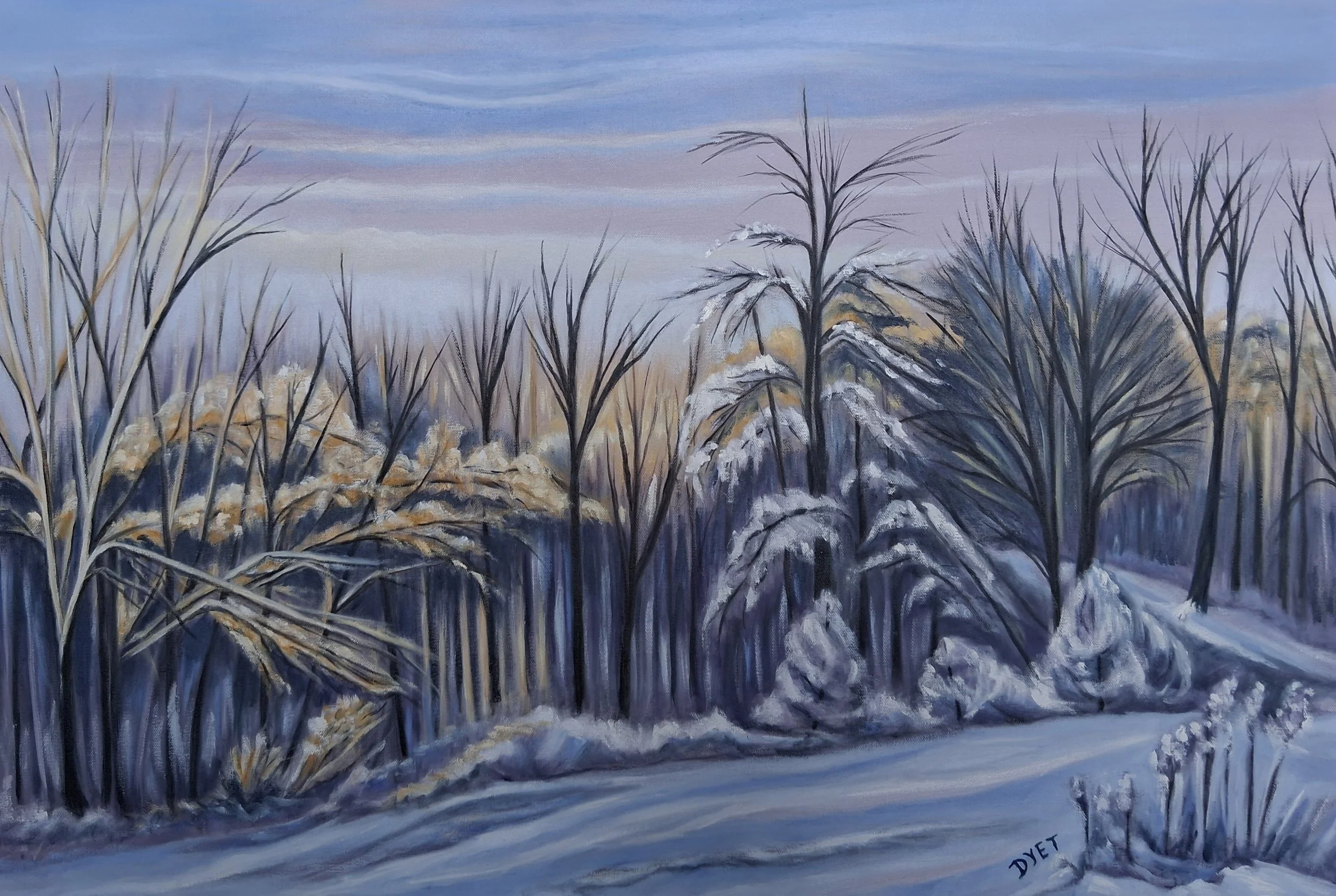 Wintry Sunrise