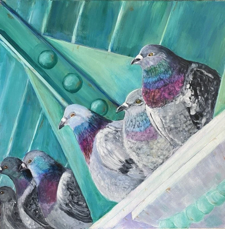 Billings Bridge Pidgeons