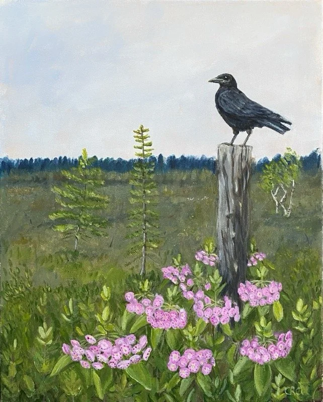 Crow at Mer Bleu