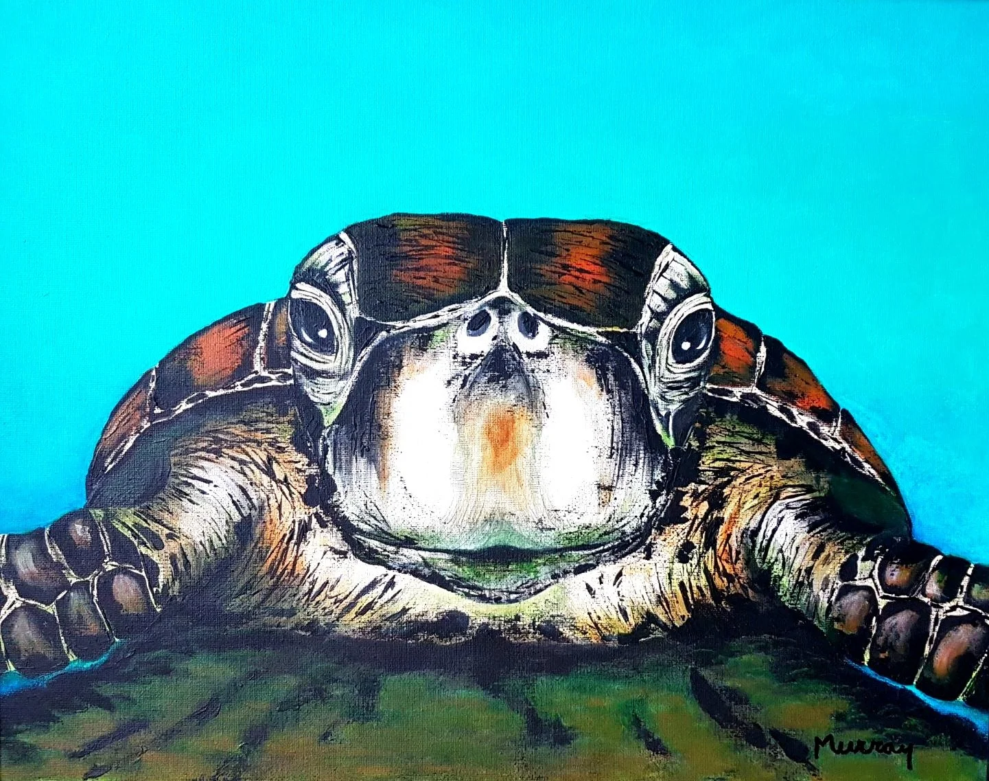 Tortuga by Lucie Murray