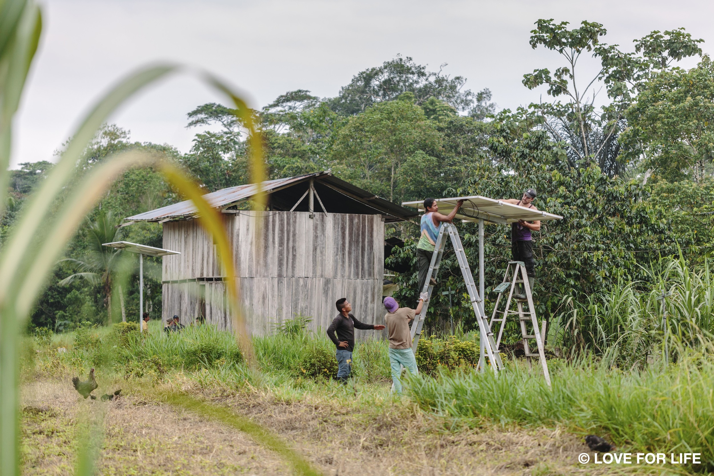 Solarprojekt IMAGINE LIGHT_Installation der Solaranlagen in der Cofán-Gemeinde Bavoroe im Amazonas.jpg