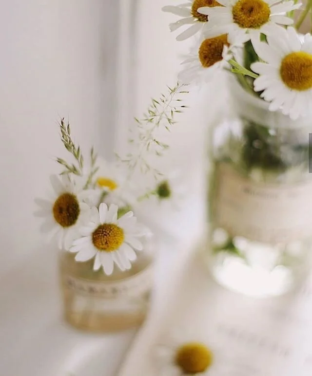 I found the most beautiful page today! I had to share @permillion44

#repost from @permillion44

#botanicals #doingneutralright #howwedwell #vintage #antiques #willowandwheatdesign #flowers #plants #pottery #terracottapots #westlockcounty #westlock #