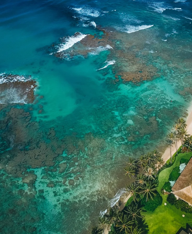 reef_hawaii.jpg