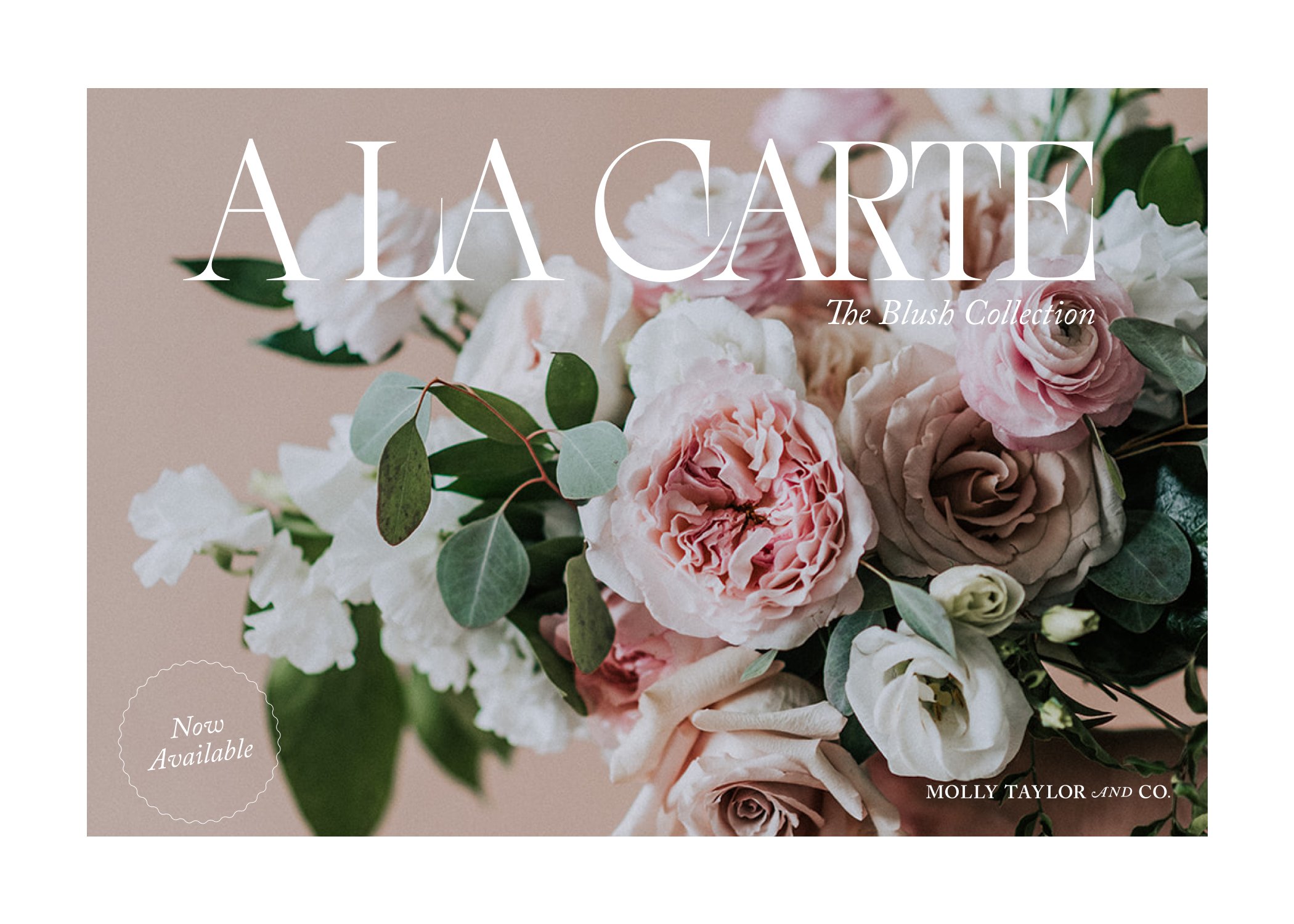 A La Carte - The Blush Collection - Molly Taylor and Co.