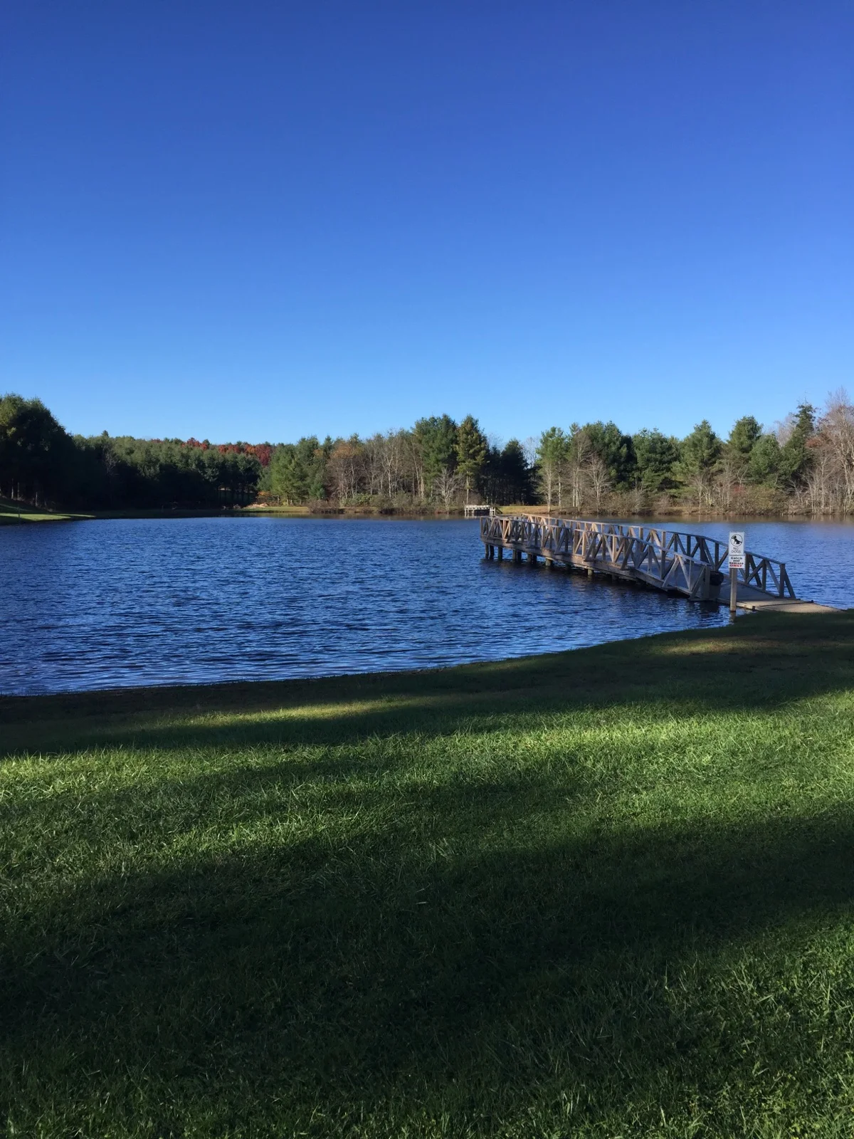 Lake and Dock.jpg