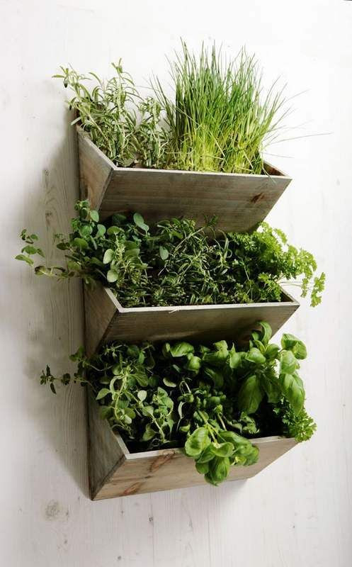 Image: via Pinterest
