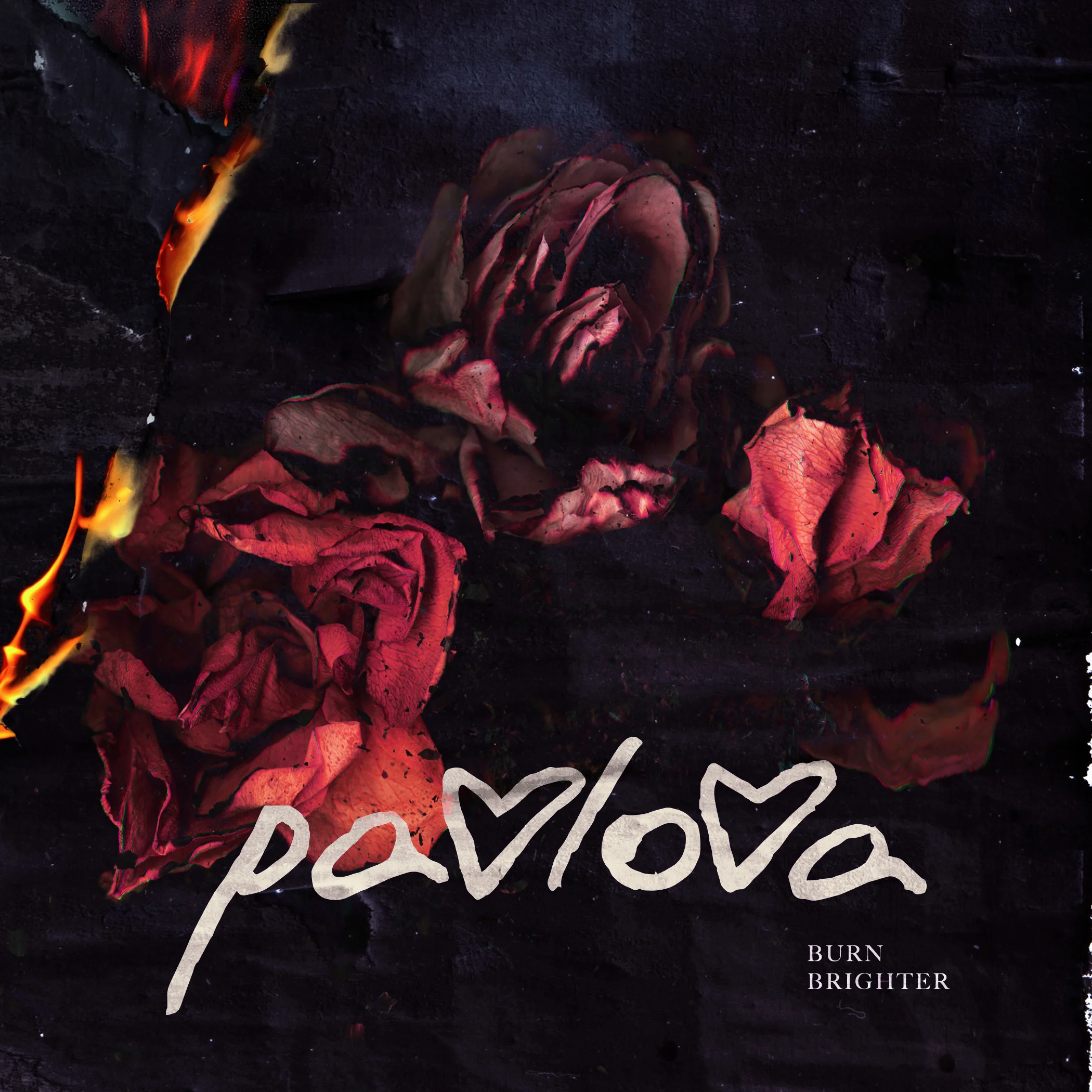 Pavlova_BurnBrighter.jpeg