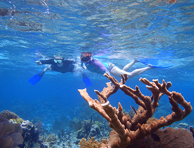 snorkeling fun for everyone only at Turneffe Flats