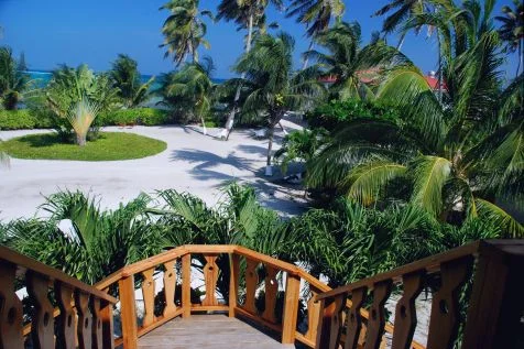 Garden views from the villas at Turneffe Flats