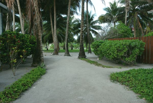 Path to the reef villa at Turneffe Flats