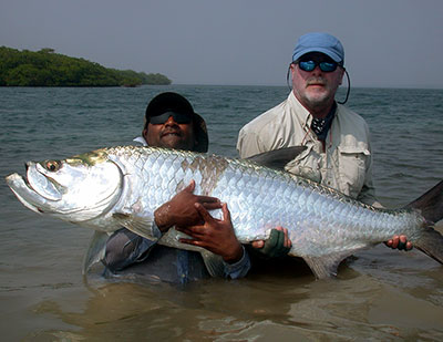 Belize tarpon caught while fly fishing for tarpon in Belize