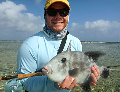 Fly Fishing in Belize - Trigger fish