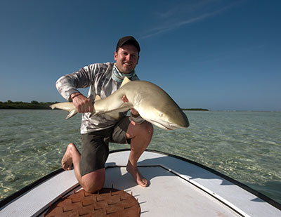 Fly Fishing for sharks in Belize
