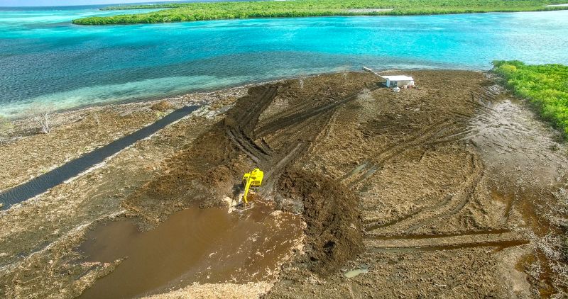 Habitat destruction