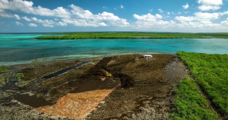 destroyed mangroves at turneffe atoll