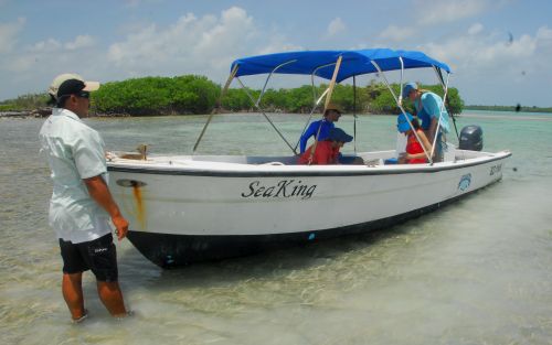 Boat tours for dolphins and manatees in Belize