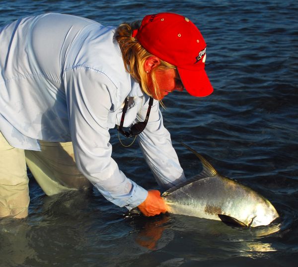 Permit caught while fly fishing at Turneffe Flats in Belize