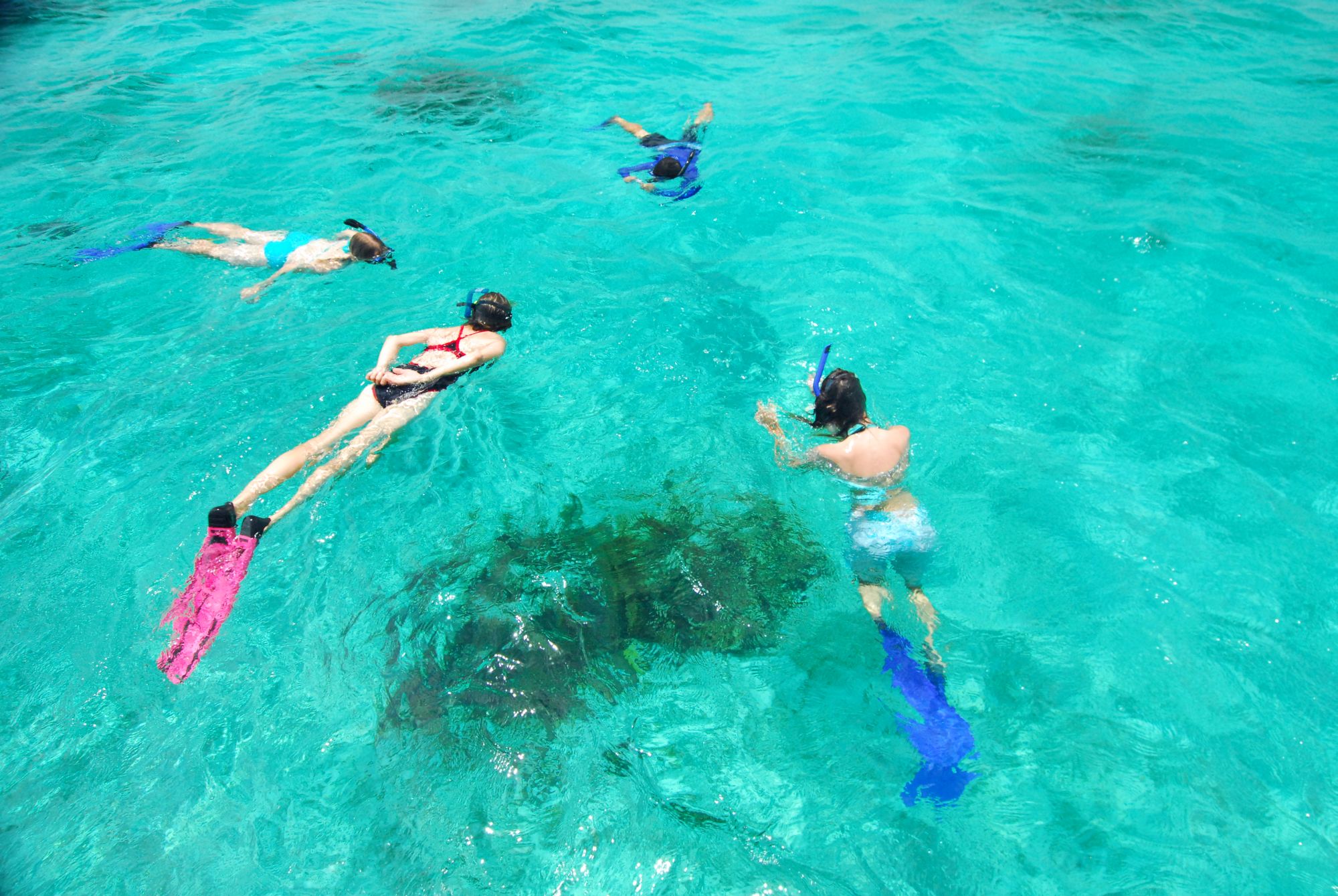 Belize snorkeling vacations and eco-tours on Turneffe Atoll with the guides from Turneffe Flats.