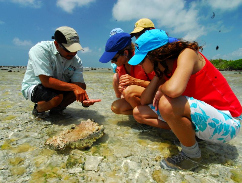 Eco adventure lodge Belize