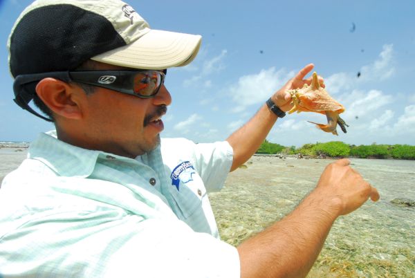 Eco-tours on the flats of Turneffe Atoll