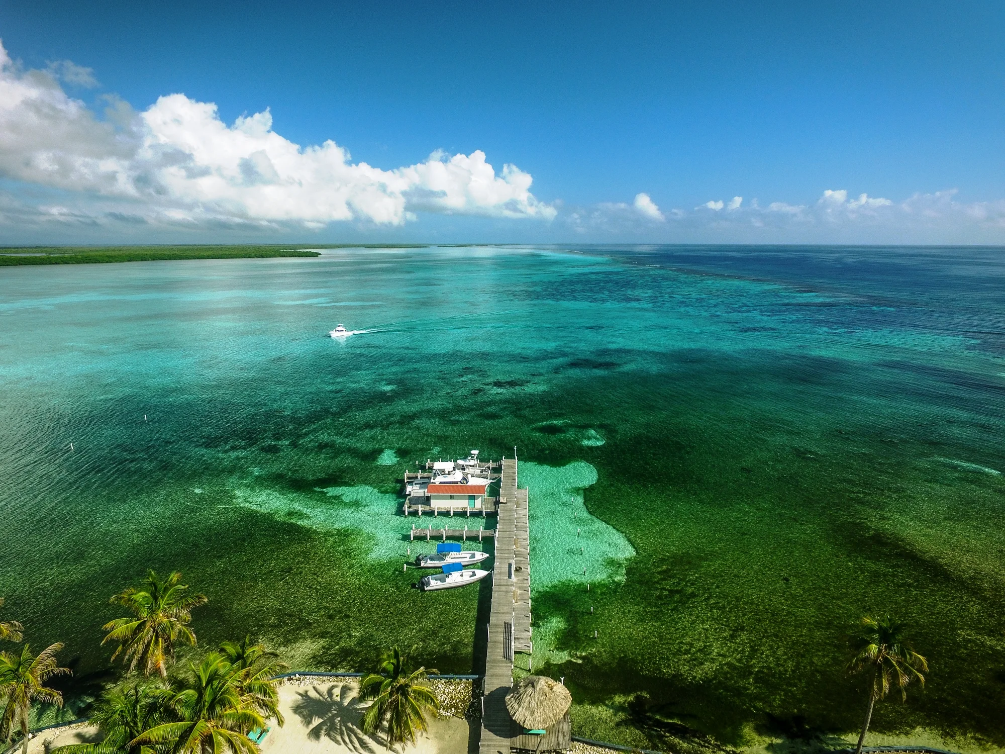 Scuba divers at Turneffe Atoll.