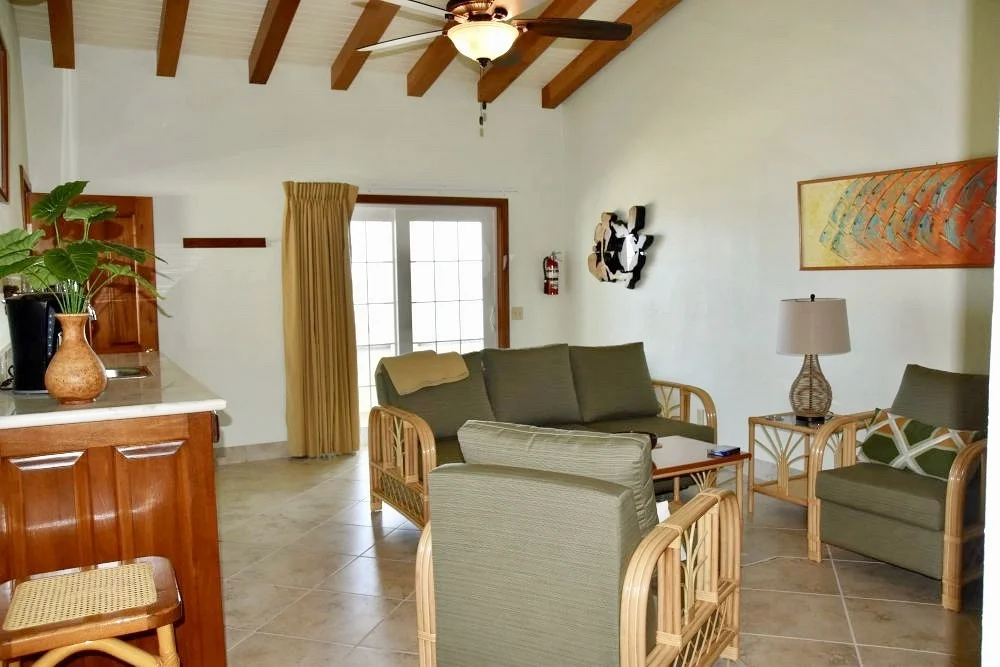 PV living rm LR.jpg