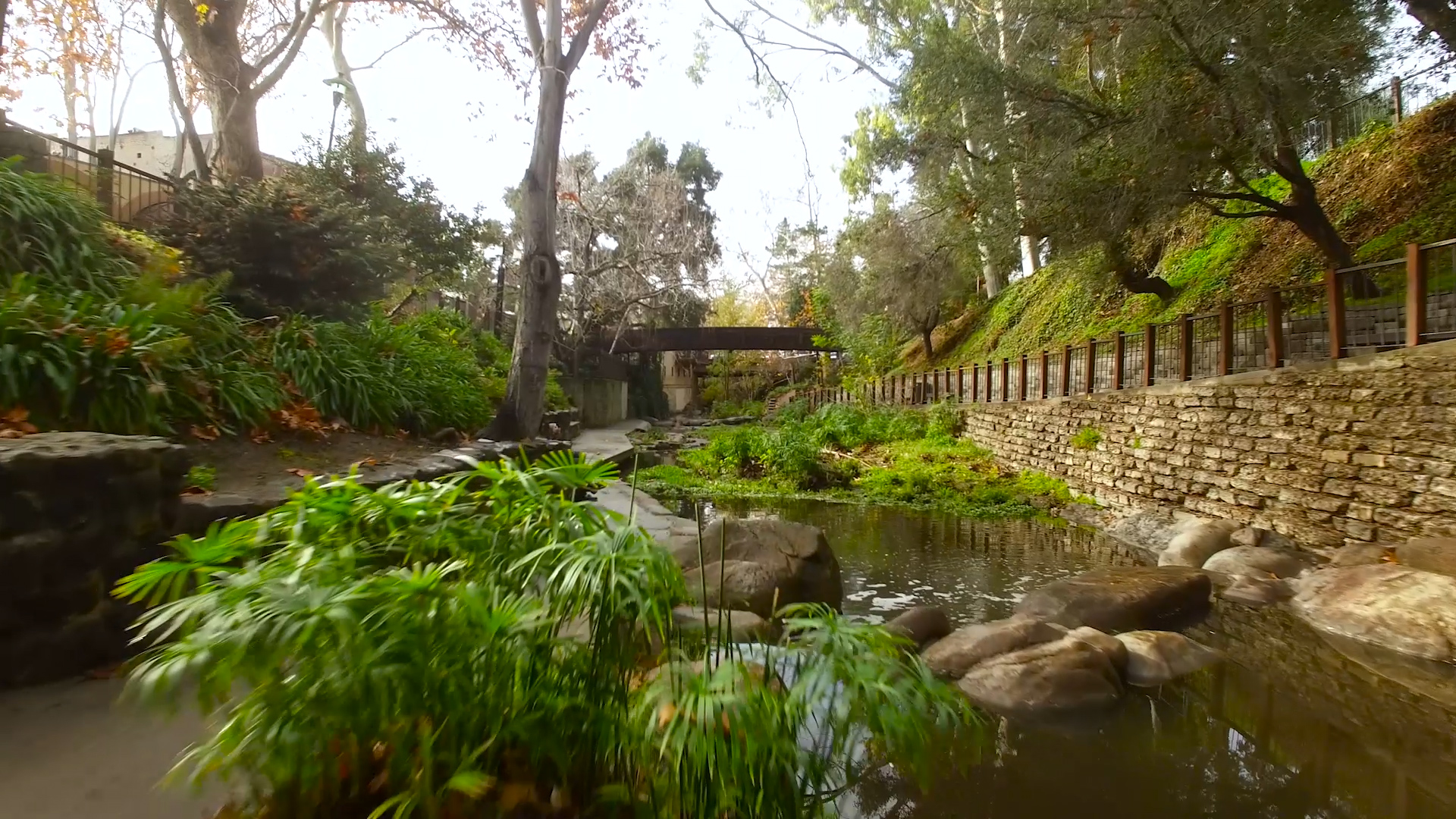 53. Med creek.jpg