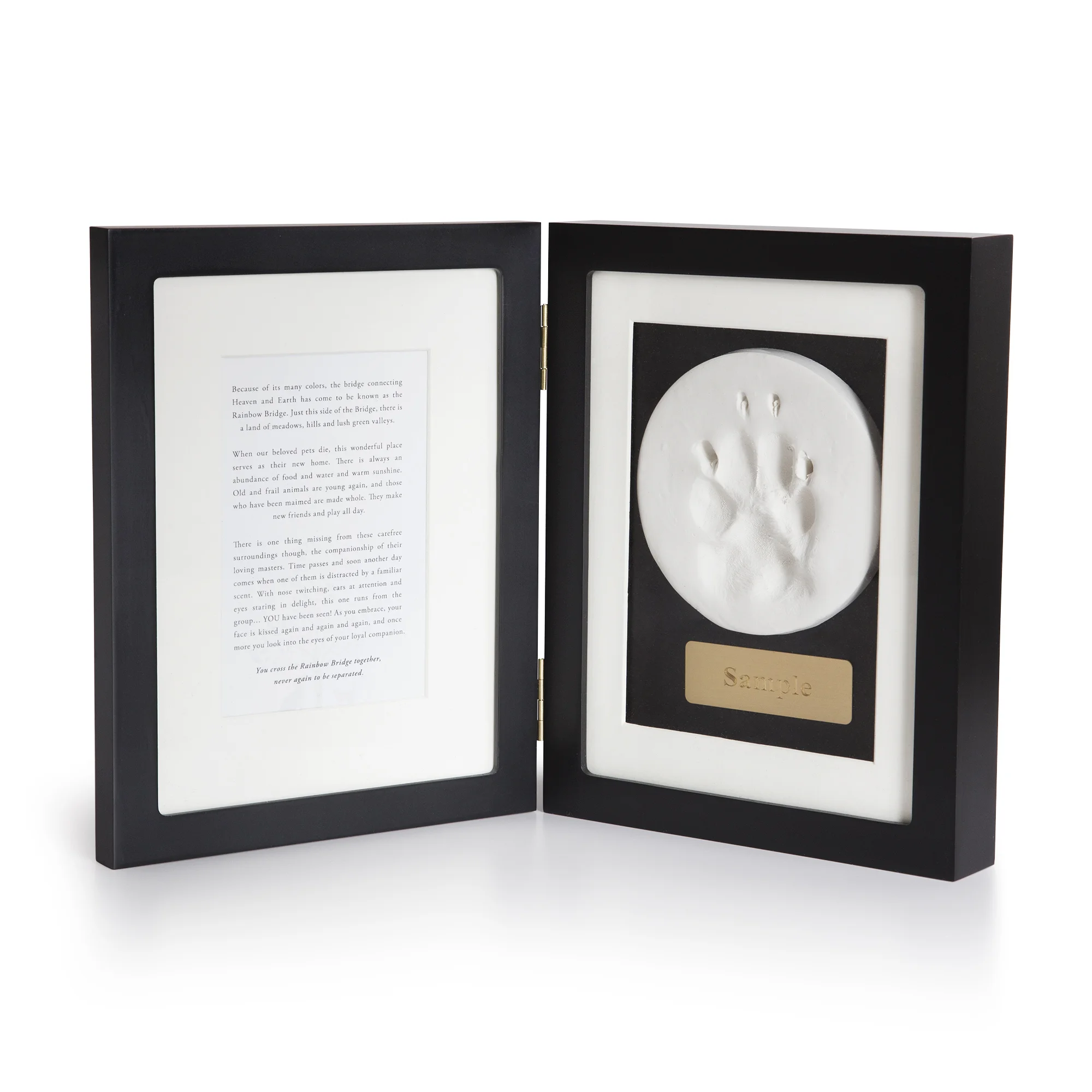 great dane images photos