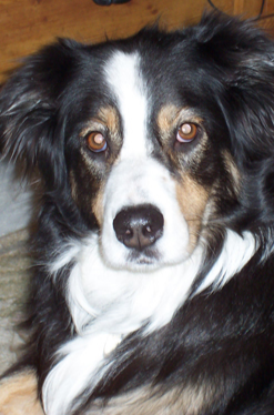 Charly