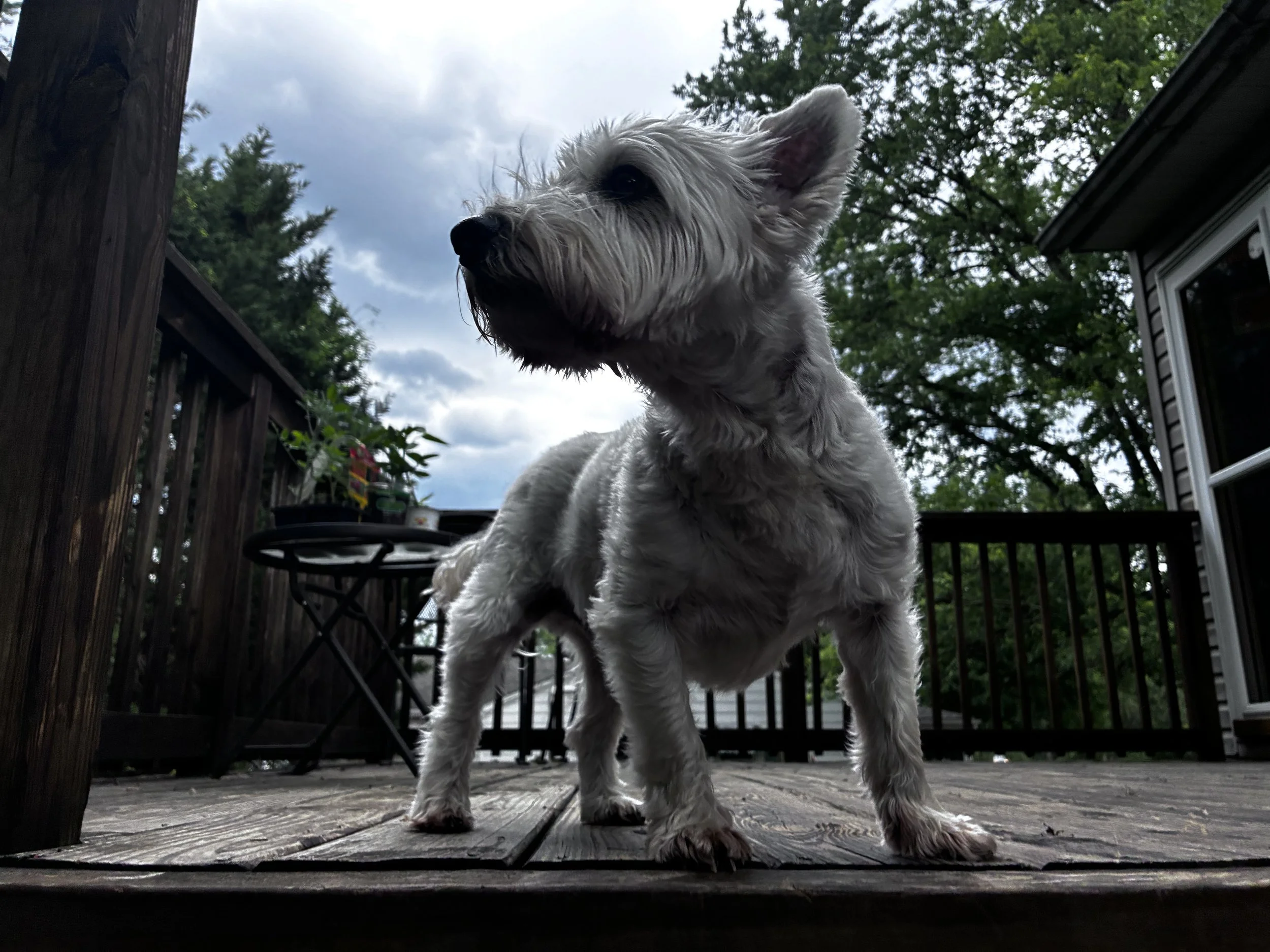 Winnie