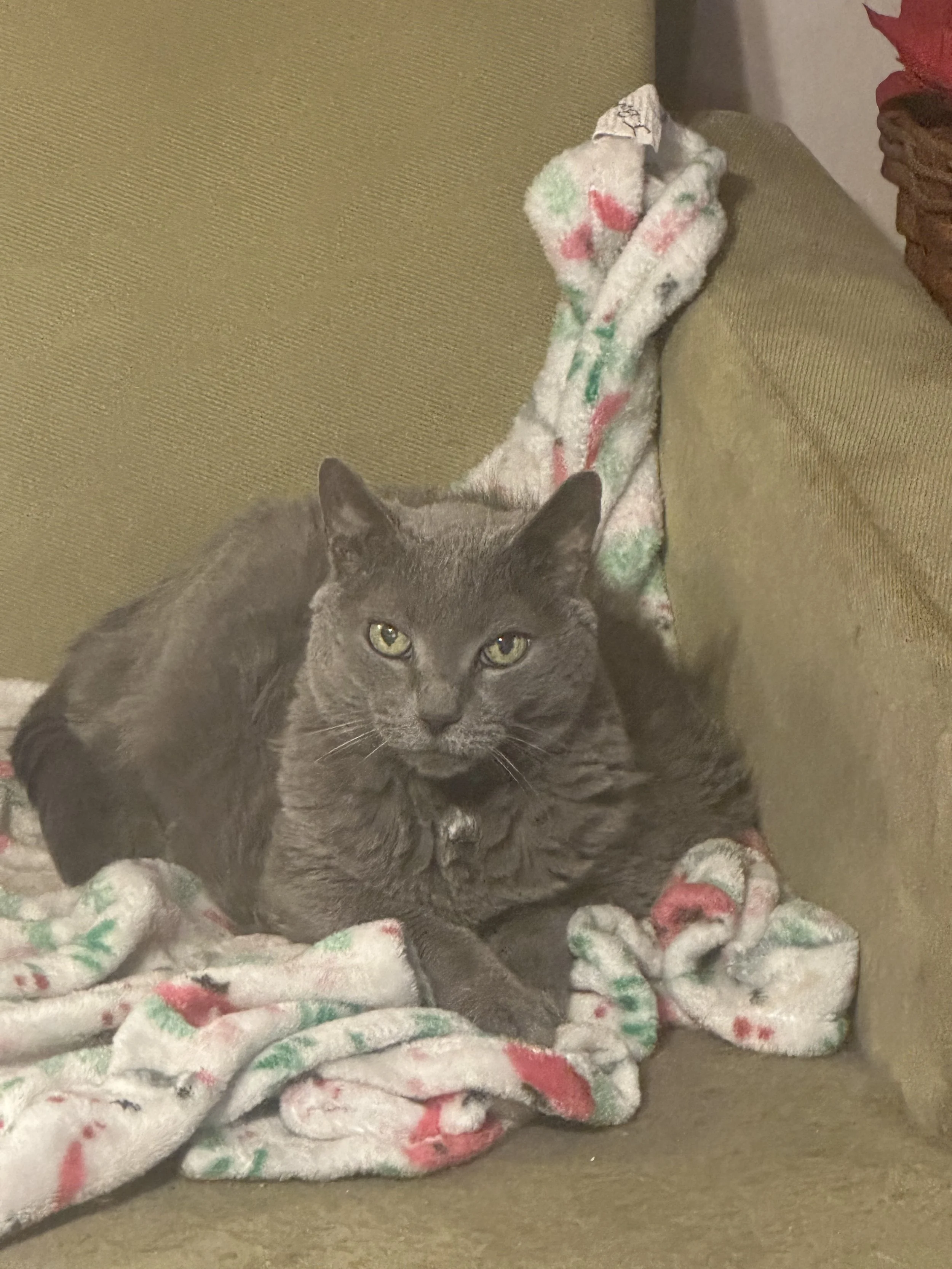 Emmie