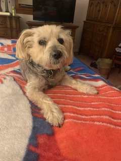 Maddie