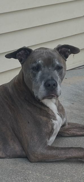 Frankie